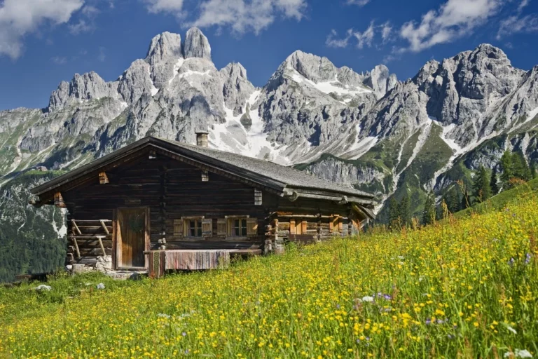 Blick auf eine Hütte in Österreich im Sommer